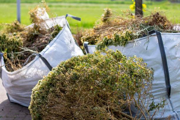 Best Basement Cleanout Services  in Middle Valley, TN